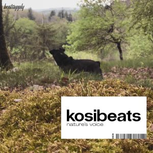 Kosibeats - Nature's Voice