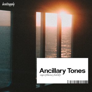 Ancillary Tones - Superfluous Fidelity