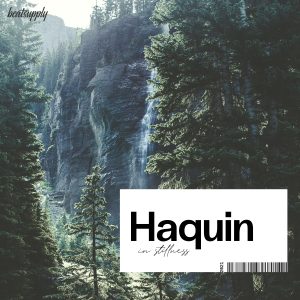 Haquin - In Stillness